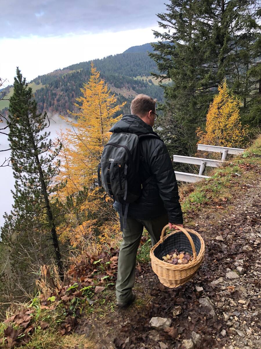Stéphane Décotterd Cueillette Champignons Confiné