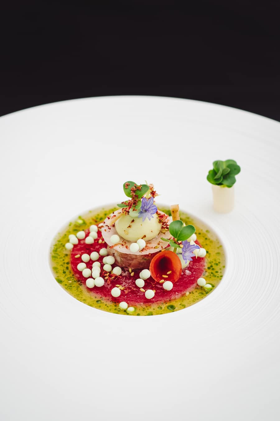 Thunfischgericht mit gehobeltem Balfego Thunaherz - Giardino Ascona - Restaurant Ecco - Chefkoch Rolf Fliegauf  - 19. Juni 2020 - Copyright Olivia Pulver