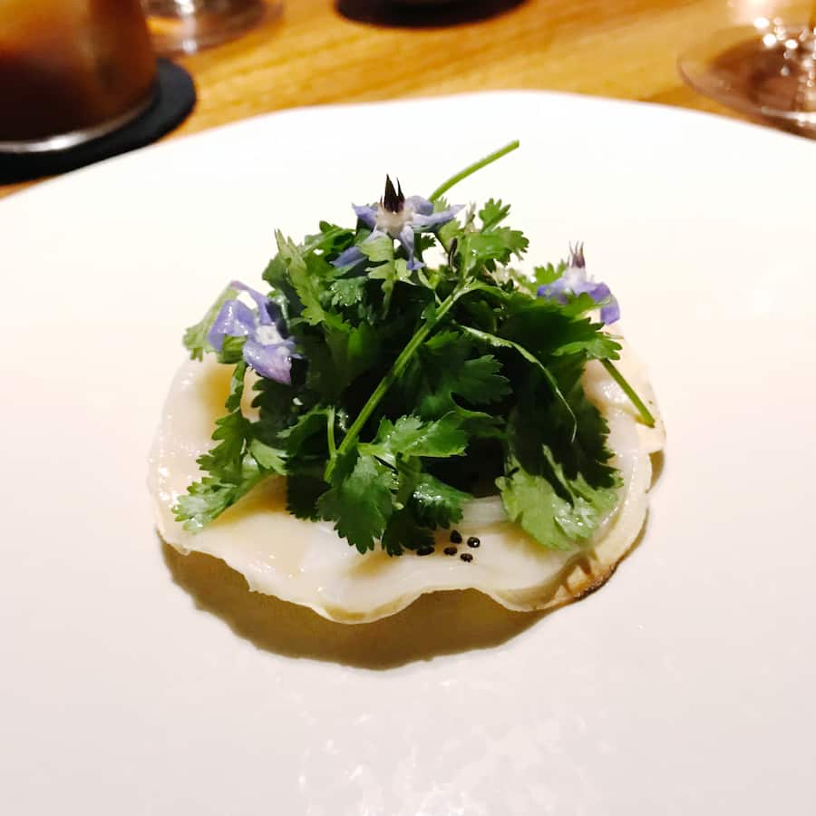 Tostada mit Jakobsmuschel im Pujol