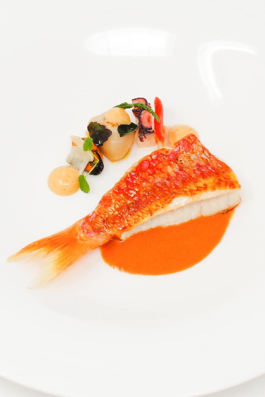 Triglia allo scoglio