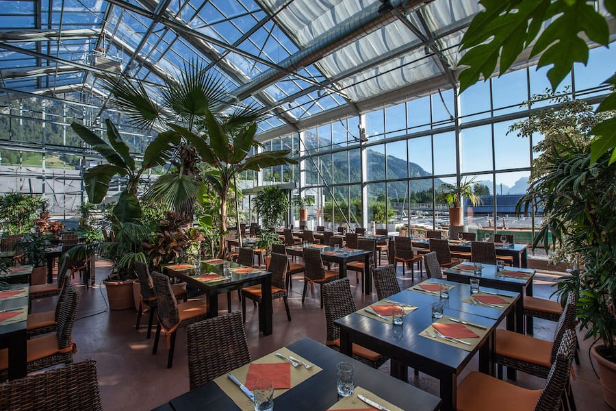 Tropenhaus Fruttigen MondoVino Al Dente