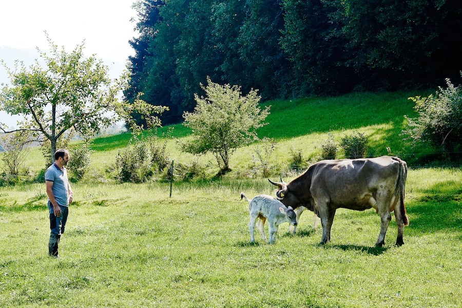 Ueli Unternährer Ueli-Hof Luzern