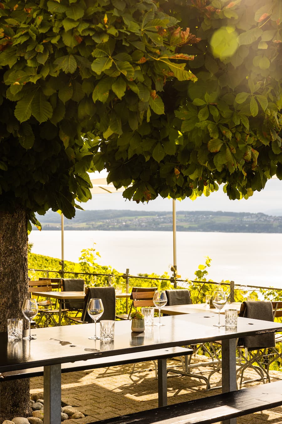 Unterwegs mit Journalistin Sabrina Glanzmann. Zu Besuch bei der Land Beiz "Aux Trois Amis" in Schernelz am Bielersee. Inhaber Duo Cynthia Lauper und Marc Joshua Engel servieren das Rezpt "Coq aux Chasselas"