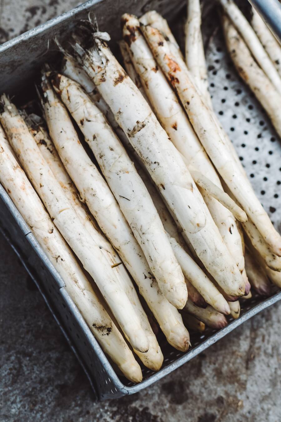 Unterwegs mit Silvio German vom Restaurant Igniv in Bad Ragaz - Besuch seiner Lieferanten: Hühnerzüchter, Spargelbauer - Im Gewächshaus vom Hotel, in der Küche - Restaurant Igniv by Caminada in Bad Ragaz - Freitag, 12. April 2019 - Copyright Olivia Pulver