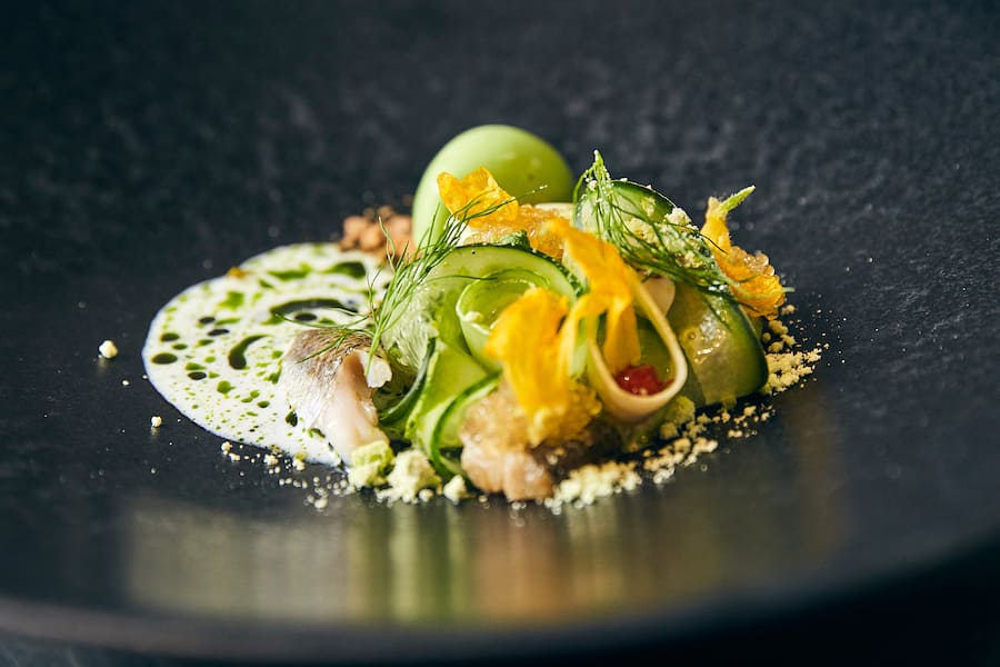 Koch Fabian Fuchs testet Bionär von Stefan Brunner