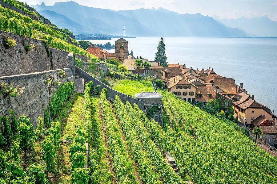 Weinberge Lavaux