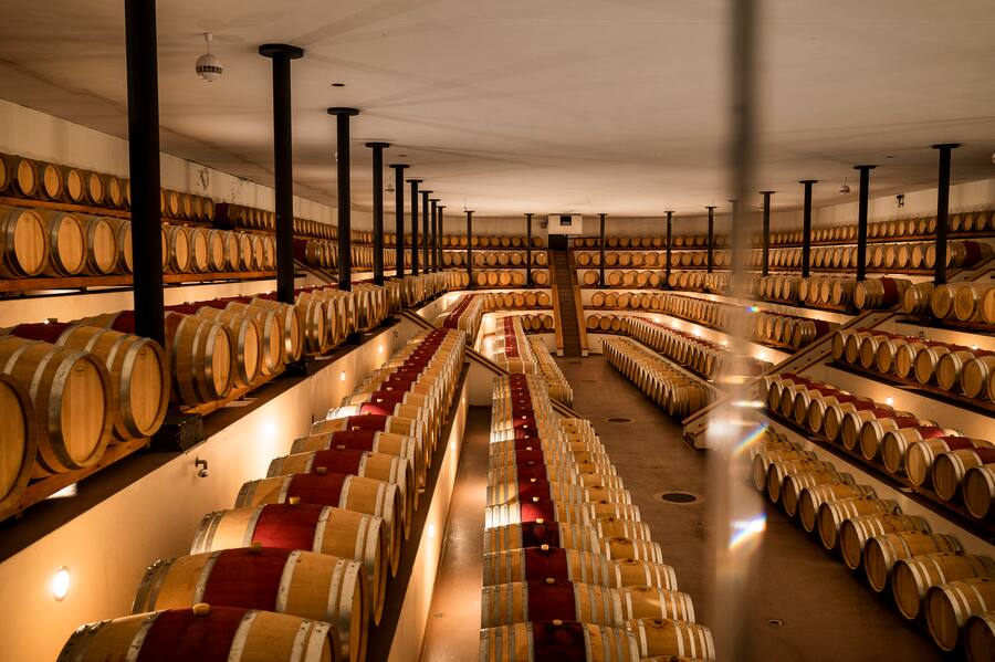 Der prächtigste Barriquechais der Schweiz, Amphiteatro