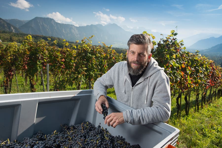 Jan Dominic Luzi Sprecher