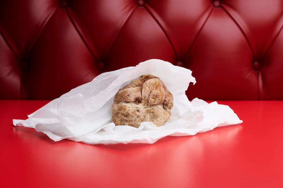 Rico Zandonella für Gault Millau Channel am 14.12.2019