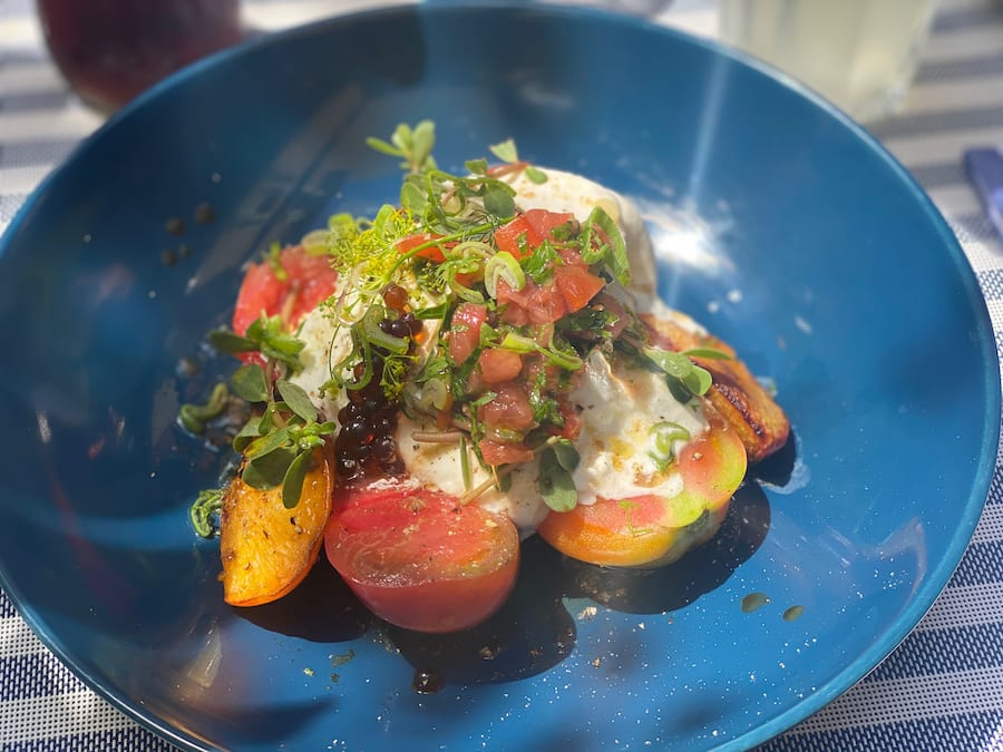 YVETTE-DE-MARSEILLES-GENEVE-EAUX-VIVES-PAUSE-DU-MIDI-LUNCH